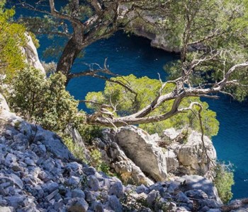 randonnées calanques marseille