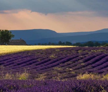 Provence