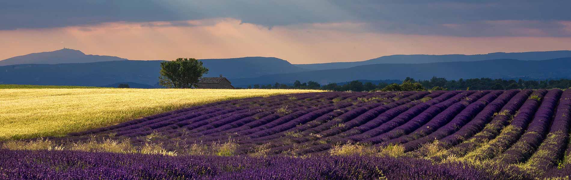 Provence