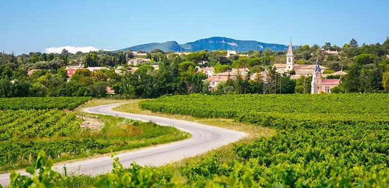 La route des vins en provence