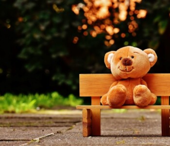 peluche enfants sur un banc en pleine nature