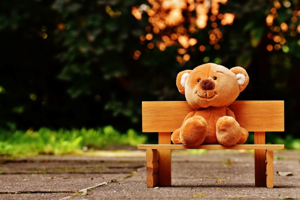 peluche enfants sur un banc en pleine nature